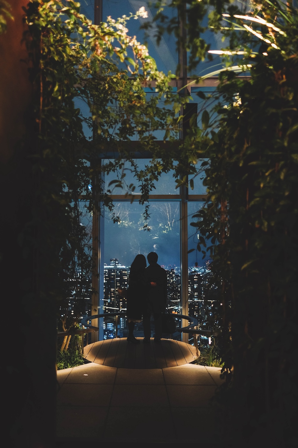 NEWoMAN高輪　LUFTBAUM（高輪Gateway）28 29樓免費展望台 夜景1